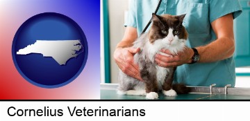 a veterinarian and a cat in Cornelius, NC