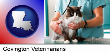 a veterinarian and a cat in Covington, LA