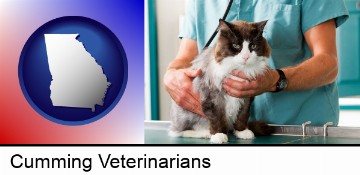 a veterinarian and a cat in Cumming, GA