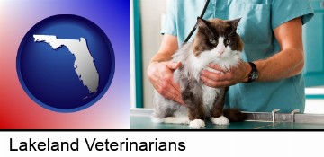 a veterinarian and a cat in Lakeland, FL