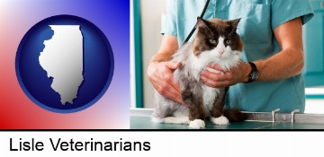 a veterinarian and a cat in Lisle, IL