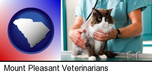 a veterinarian and a cat in Mount Pleasant, SC
