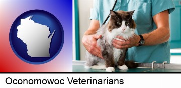a veterinarian and a cat in Oconomowoc, WI