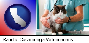 a veterinarian and a cat in Rancho Cucamonga, CA