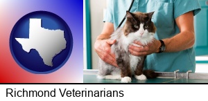Richmond, Texas - a veterinarian and a cat