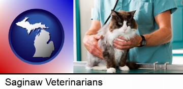 a veterinarian and a cat in Saginaw, MI