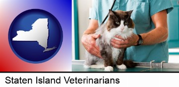 a veterinarian and a cat in Staten Island, NY