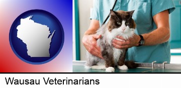 a veterinarian and a cat in Wausau, WI