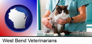 a veterinarian and a cat in West Bend, WI