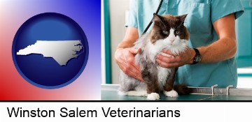 a veterinarian and a cat in Winston Salem, NC