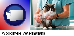 a veterinarian and a cat in Woodinville, WA