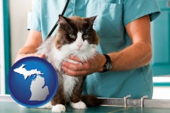 michigan a veterinarian and a cat