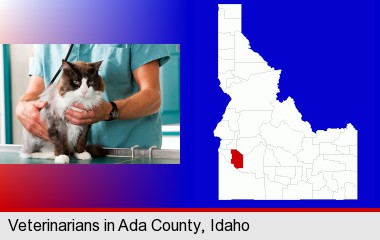 a veterinarian and a cat; Ada County highlighted in red on a map