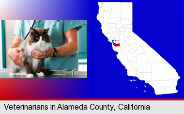 a veterinarian and a cat; Alameda County highlighted in red on a map
