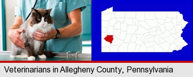 a veterinarian and a cat; Allegheny County highlighted in red on a map