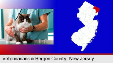 a veterinarian and a cat; Bergen County highlighted in red on a map