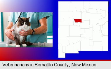 a veterinarian and a cat; Bernalillo County highlighted in red on a map