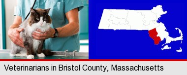 a veterinarian and a cat; Bristol County highlighted in red on a map