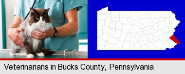 a veterinarian and a cat; Bucks County highlighted in red on a map