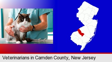 a veterinarian and a cat; Camden County highlighted in red on a map
