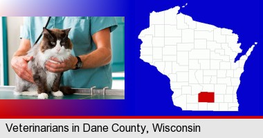 a veterinarian and a cat; Dane County highlighted in red on a map