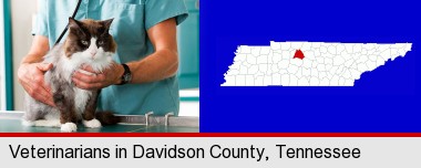 a veterinarian and a cat; Davidson County highlighted in red on a map