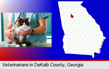 a veterinarian and a cat; DeKalb County highlighted in red on a map