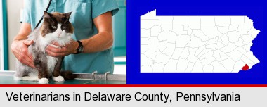 a veterinarian and a cat; Delaware County highlighted in red on a map