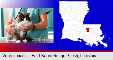 a veterinarian and a cat; East Baton Rouge Parish highlighted in red on a map