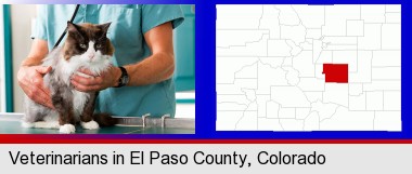 a veterinarian and a cat; Elbert County highlighted in red on a map