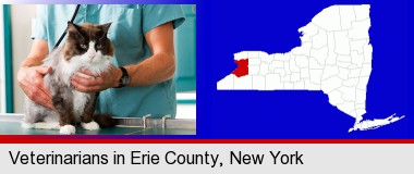 a veterinarian and a cat; Erie County highlighted in red on a map