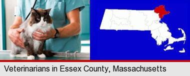 a veterinarian and a cat; Essex County highlighted in red on a map