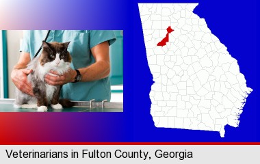 a veterinarian and a cat; Fulton County highlighted in red on a map