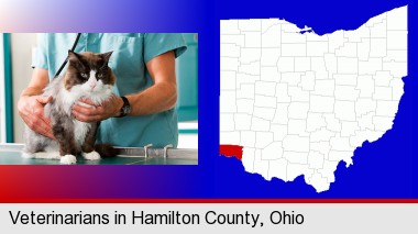 a veterinarian and a cat; Hamilton County highlighted in red on a map