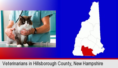 a veterinarian and a cat; Hillsborough County highlighted in red on a map