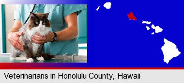 a veterinarian and a cat; Honolulu County highlighted in red on a map