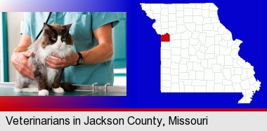 a veterinarian and a cat; Jackson County highlighted in red on a map