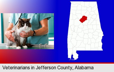 a veterinarian and a cat; Jefferson County highlighted in red on a map