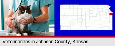 a veterinarian and a cat; Johnson County highlighted in red on a map