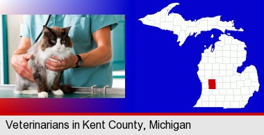 a veterinarian and a cat; Kent County highlighted in red on a map