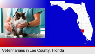 a veterinarian and a cat; Lee County highlighted in red on a map