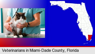 a veterinarian and a cat; Miami-Dade County highlighted in red on a map