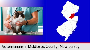 a veterinarian and a cat; Middlesex County highlighted in red on a map