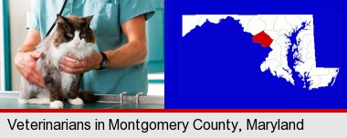 a veterinarian and a cat; Montgomery County highlighted in red on a map