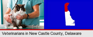 a veterinarian and a cat; New Castle County highlighted in red on a map