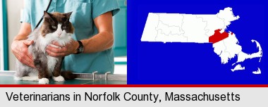 a veterinarian and a cat; Norfolk County highlighted in red on a map
