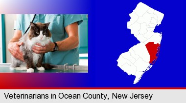 a veterinarian and a cat; Ocean County highlighted in red on a map