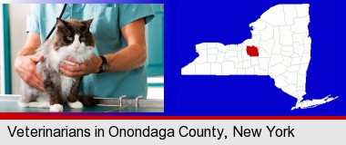 a veterinarian and a cat; Onondaga County highlighted in red on a map