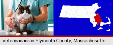 a veterinarian and a cat; Plymouth County highlighted in red on a map