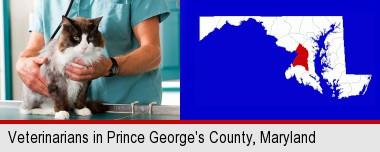 a veterinarian and a cat; Prince George's County highlighted in red on a map